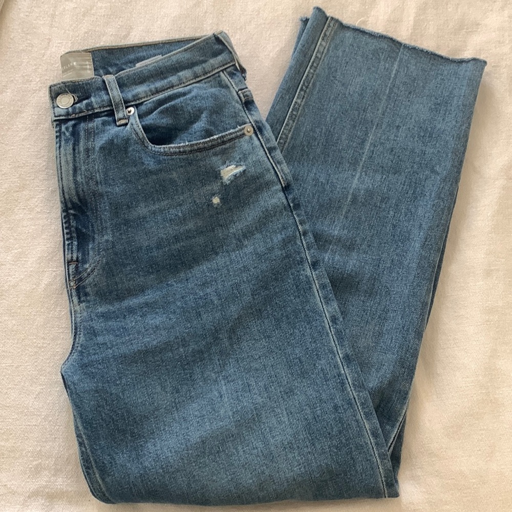 Everlane The Way High Jean